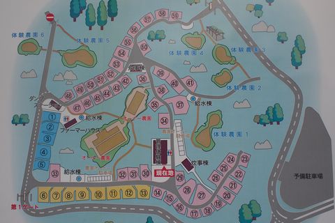 夏キャンin秋吉台①