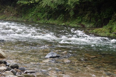 須川家族村(レポその①)