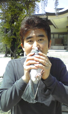 ハト捕まえた!