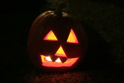 ハロウィンキャンプ2012(その①)