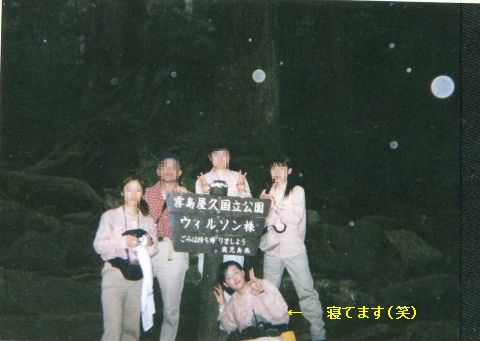 奥さんの夢?