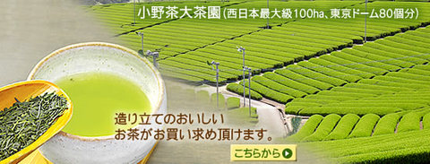 宇部の名産?
