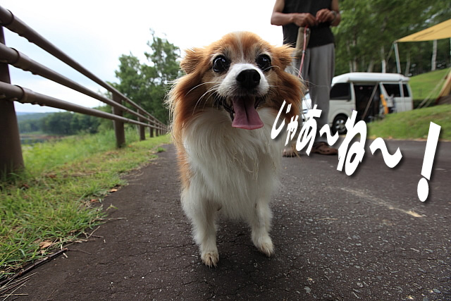 岩洞湖家族旅行村キャンプ