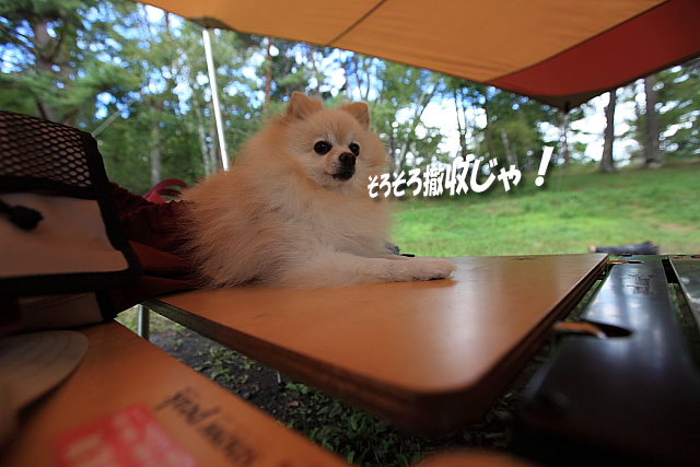 Hot spring Camp2010FALL@松原湖高原2