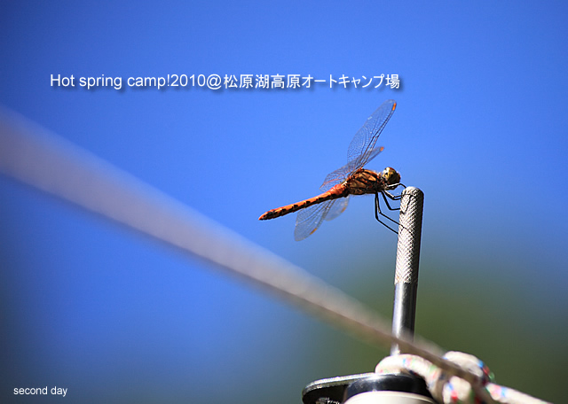Hot spring Camp2010FALL@松原湖高原2