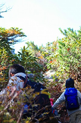 紅葉北奥千丈
