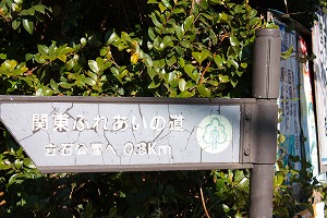 川歩き大楠山
