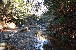 川歩き大楠山