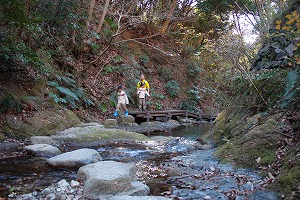 川歩き大楠山