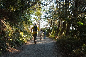 川歩き大楠山