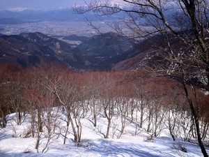 ちょっくらゲナンポ