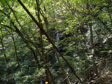 秩父・群馬の滝巡り