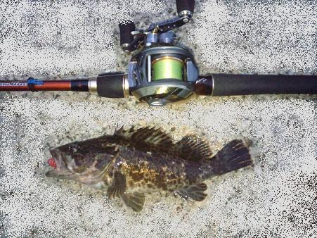 今年の釣り納め