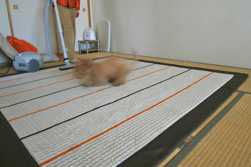 おめでとうございました