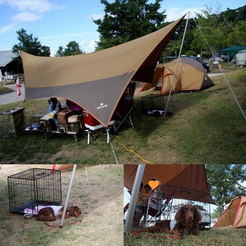 ☆The last summer holiday camp☆