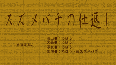 スズメバチの仕返し
