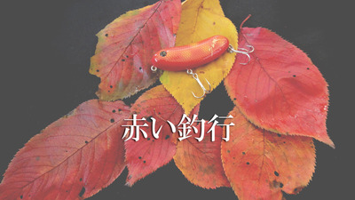赤い釣行/完結編