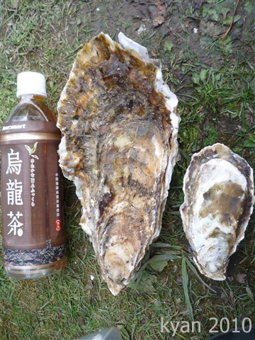 あっけし牡蠣まつり参戦録(番外編)