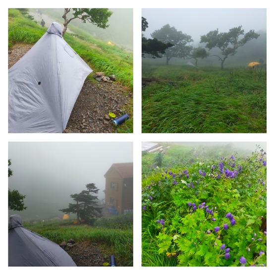 【南アルプス南部へ】3度の計画変更の果ては、強風と霧の茶臼岳のみ! 【南アルプス南部へ】3度の計画変更の果ては、強風と霧の茶臼岳のみ!