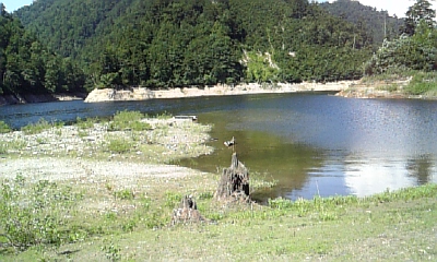 水上は今日もいい天気~?