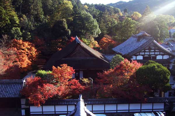 久しぶりの京都(秋の南禅寺)