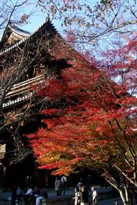 久しぶりの京都(秋の南禅寺)