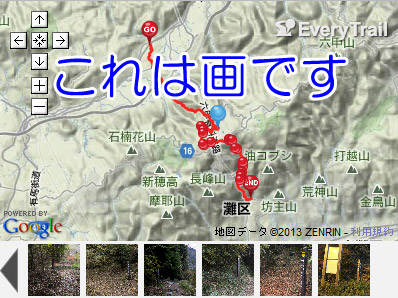 紅葉を探しに行ったら!~地獄に青い鳥?