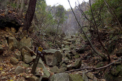 WP_20121202_1320