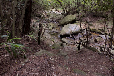WP_20121202_1306
