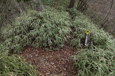 WP_20121202_1404
