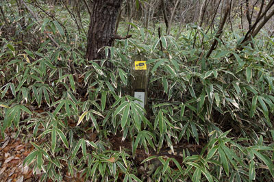 WP_20121202_1420