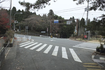 WP_20121202_1519