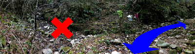 WP_20121202_1559