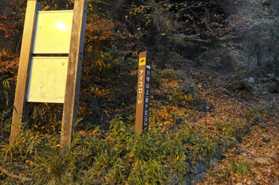 WP_20121202_1647