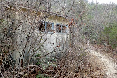 VW_20130120_1342