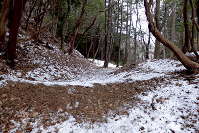 CR_20130120_1538