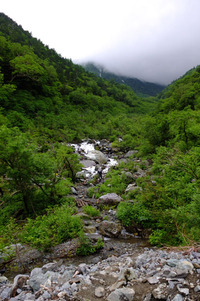 行けなかった山、行かなかった山頂 北岳