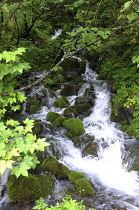 行けなかった山、行かなかった山頂 北岳
