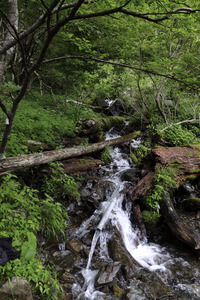 再訪北岳。白峰三山縦走(奈良田から)