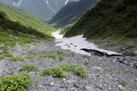 再訪北岳。白峰三山縦走(奈良田から)