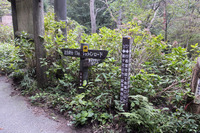 紅葉谷道~湯涌谷峠~シュラインロード~地獄谷