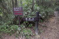 紅葉谷道~湯涌谷峠~シュラインロード~地獄谷