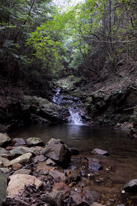 紅葉谷道~湯涌谷峠~シュラインロード~地獄谷