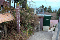 紅葉を探しに行ったら!~地獄に青い鳥?