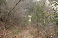 宝塚~蓬萊峡~船坂峠方面~宝塚