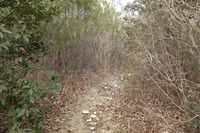 宝塚~蓬萊峡~船坂峠方面~宝塚