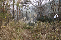 宝塚~蓬萊峡~船坂峠方面~宝塚