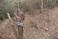 宝塚~蓬萊峡~船坂峠方面~宝塚