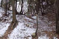 宝塚~蓬萊峡~船坂峠方面~宝塚