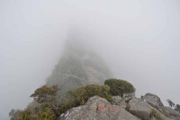 石鎚山 天狗はどこに